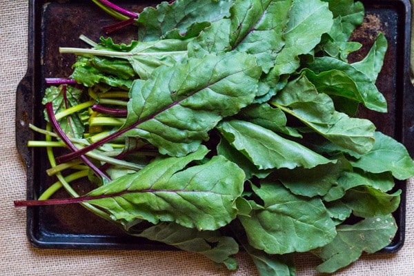 beet greens for Spaghetti with Beet Greens | Letty's Kitchen