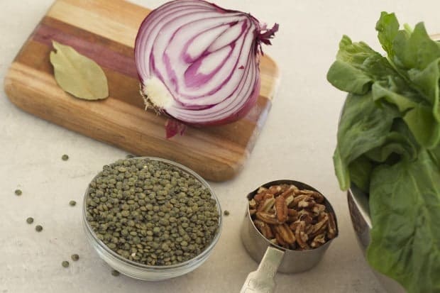 red onion, dried lentils, pecans, and spinach, ingredients for wilted spinach salad