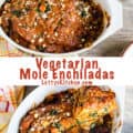Mole Enchiladas with Spinach, Potatoes, and Carrots pinterest