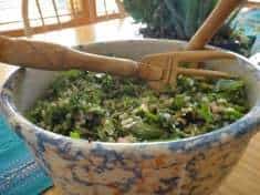 Kale and Quinoa Salad with Pumpkin Seeds