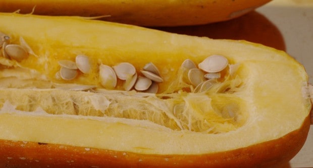 spaghetti squash with seeds ready to bake