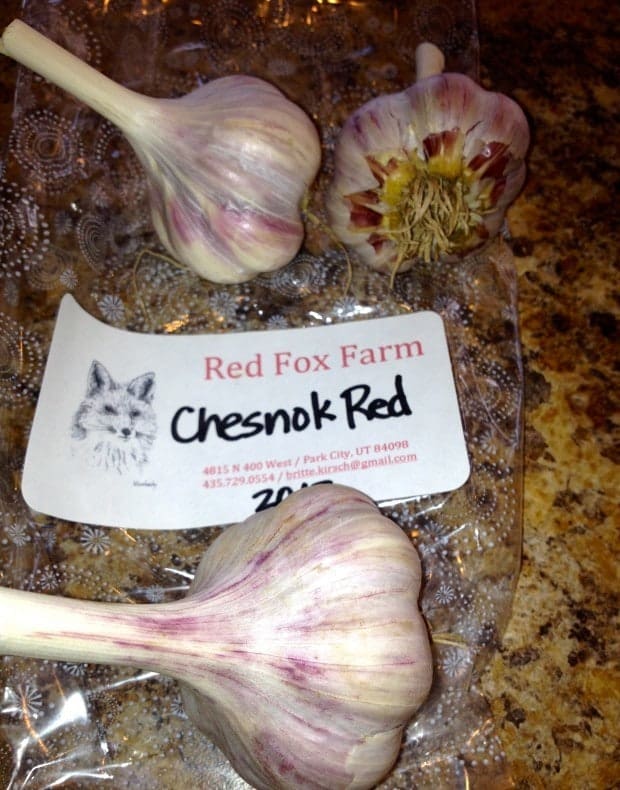 Chesnok Red Garlic for Roasted Garlic recipe