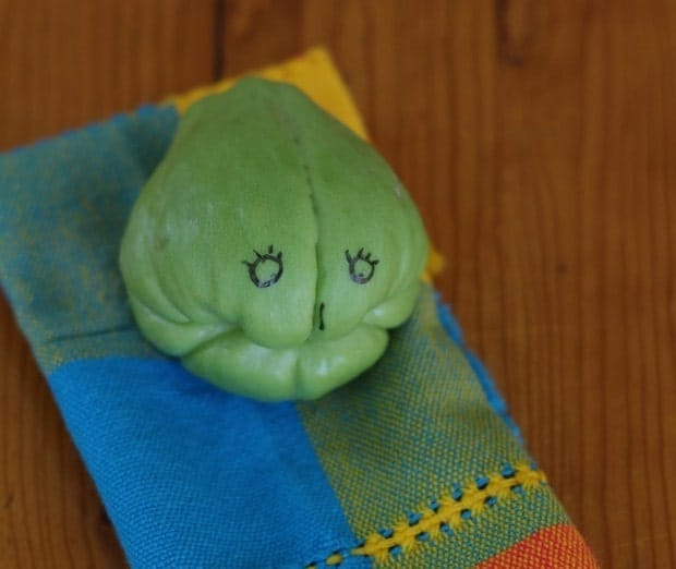 chayote toothless face thinking about chayote chile soup