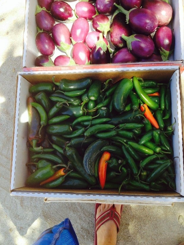 serrano and jalapeño chiles for Salsa Verde—Green Table Sauce