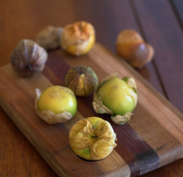 tomatillos with husks for Salsa Verde—Green Table Sauce