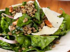 Wilted Spinach and Green Lentil Salad
