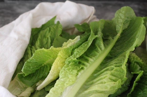 lettuce for Romaine Salad with Pears, Blue Cheese and Pecans