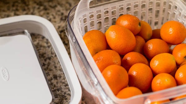 Kumquats in OXO GreenSavers