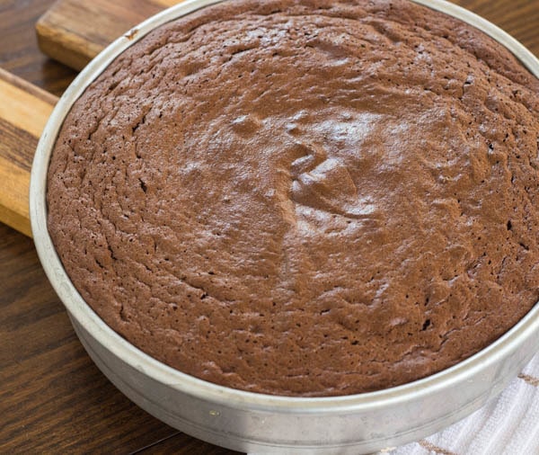 Bittersweet Chocolate Torte in pan