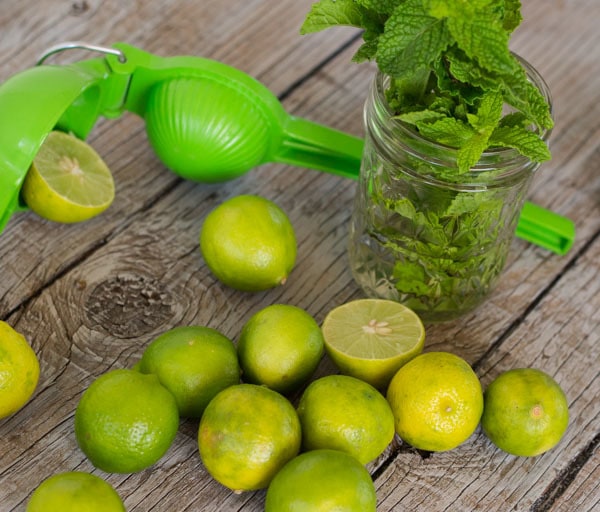 Mint and Limes for tequila mojitos from LettysKitchen.com
