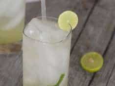 Tequila Mojitos with Agave Nectar