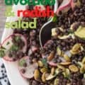 Lentil, avocado and radish salad with Pinterest text
