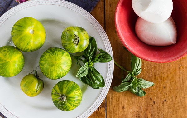 Green Zebra Tomatoes, bufala mozzarella and basil-- Caprese Salad ingredients