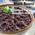 black beans in bowl with Pinterest text