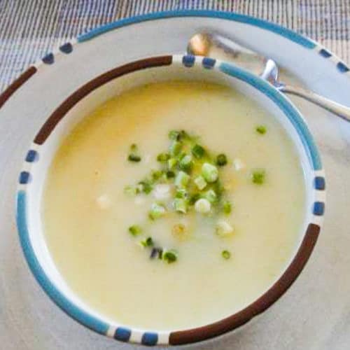 overhed shot of vegan vichyssoise soup with green onion garnish